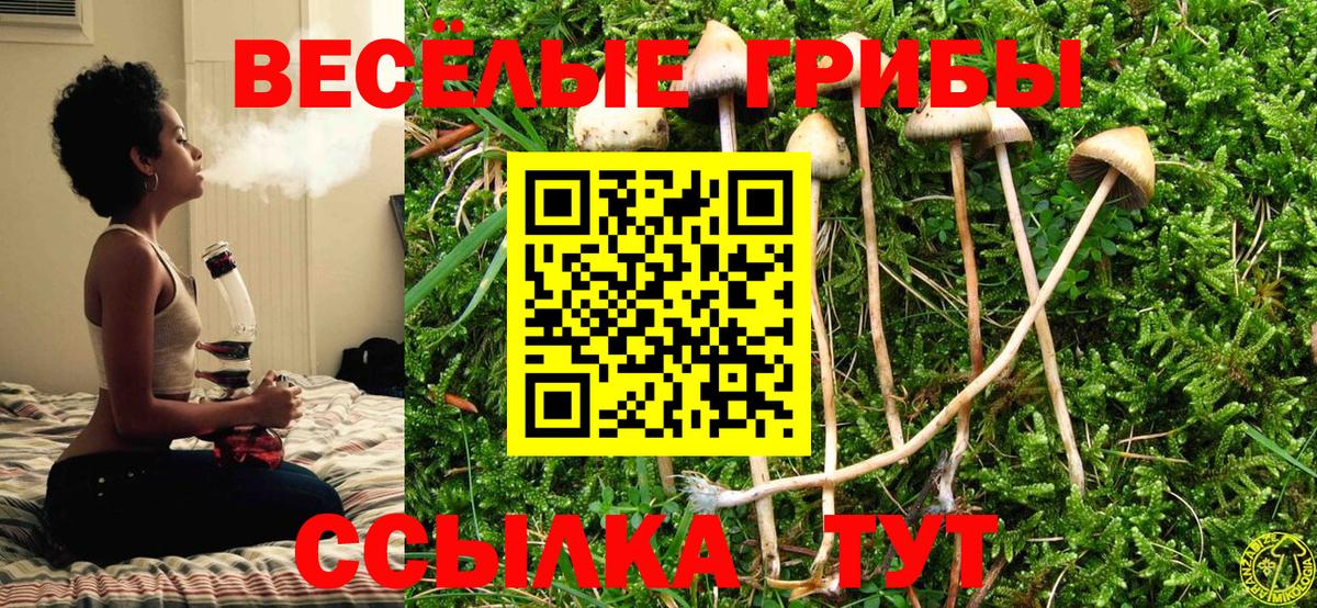 Галлюциногенные грибы прущие грибы Сокол