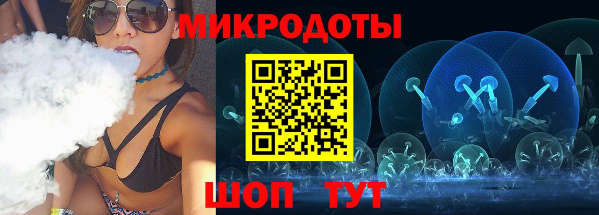 Сокол  Псилоцибиновые грибы Psilocybe  Вход с VPN 