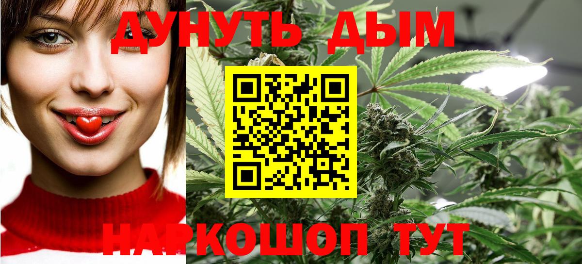 Канабис OG Kush  Бошки Шишки LSD WEED  Бошки марихуана планчик  Каннабис сатива  Сокол  Вход с VPN 